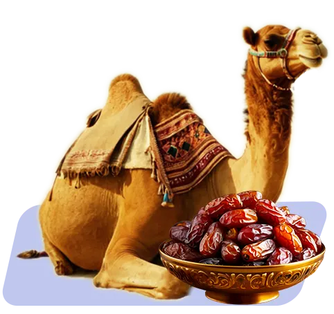بازرگانی و پخش ارگانیک رحیمی