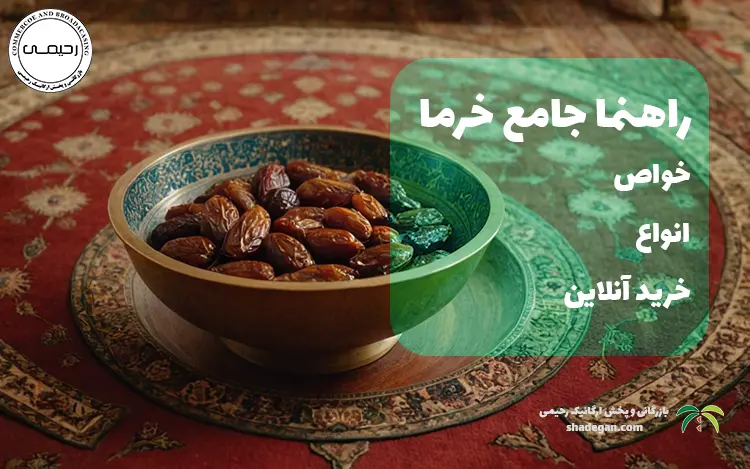 راهنمای جامع خرما: خواص، انواع و خرید آنلاین