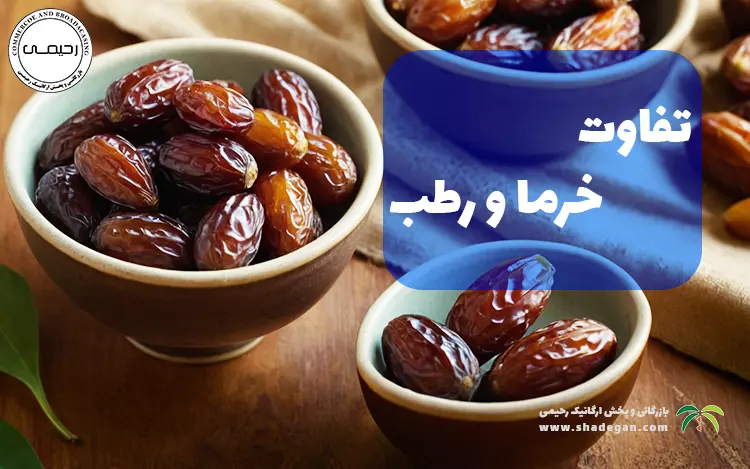 فرق خرما با رطب