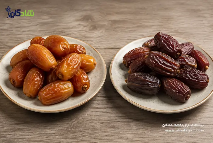 فرق خرما و رطب
