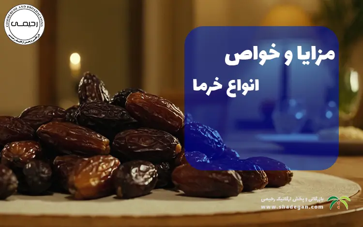 خواص و فواید انواع خرما | یک راهنمای جامع