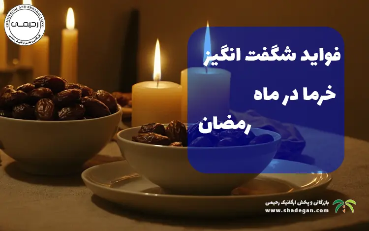 مصرف خرما در ماه رمضان | فواید شگفت‌انگیز برای روزه‌داران