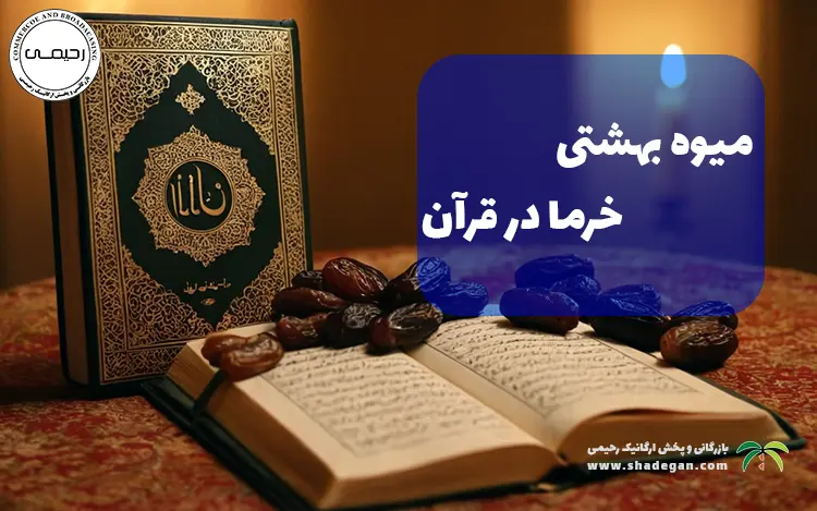 خرما در قرآن | میوه‌ای بهشتی با خواص فوق‌العاده