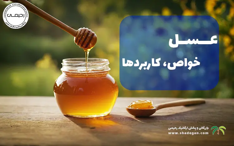 عسل چیست؟ خواص، کاربردها و نکات مهم مصرف