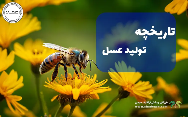 تاریخچه تولید عسل