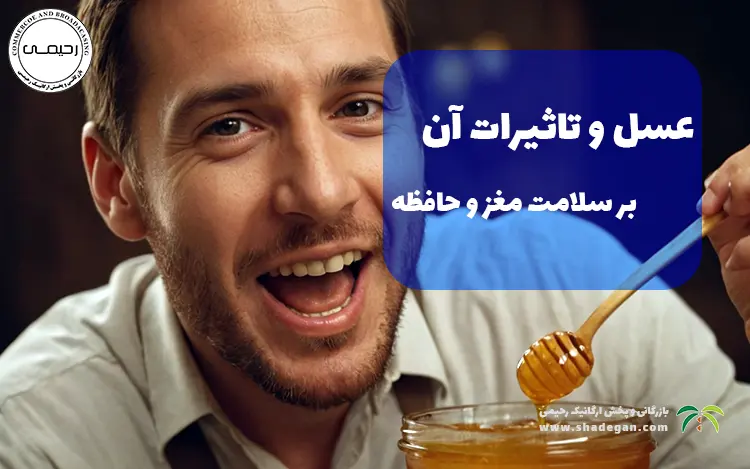 تاثیر عسل بر سلامت مغز و حافظه