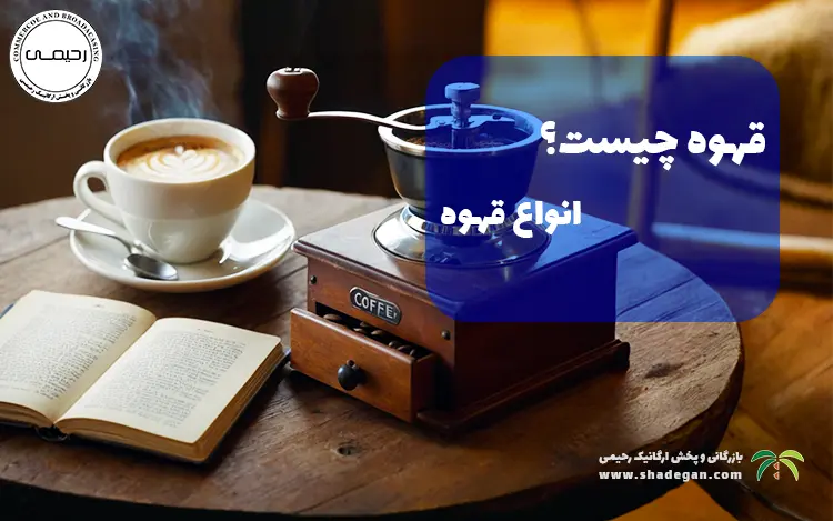 قهوه چیست؟ معرفی انواع قهوه، روش‌های دم کردن و فواید آن