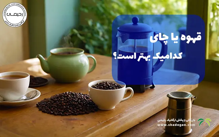 قهوه یا چای: کدامیک برای شما بهتر است؟