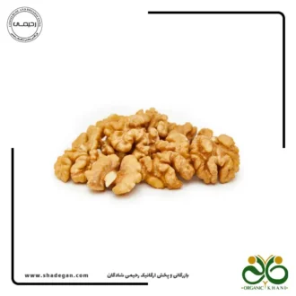 مغز گردو