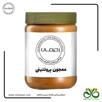 معجون پروتئینی