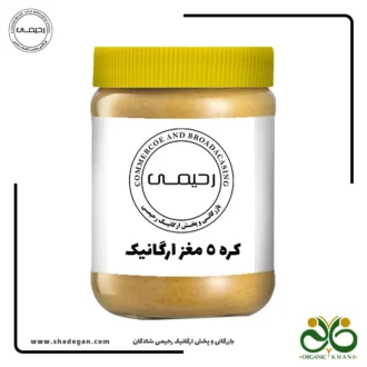 کره 5 مغز ارگانیک