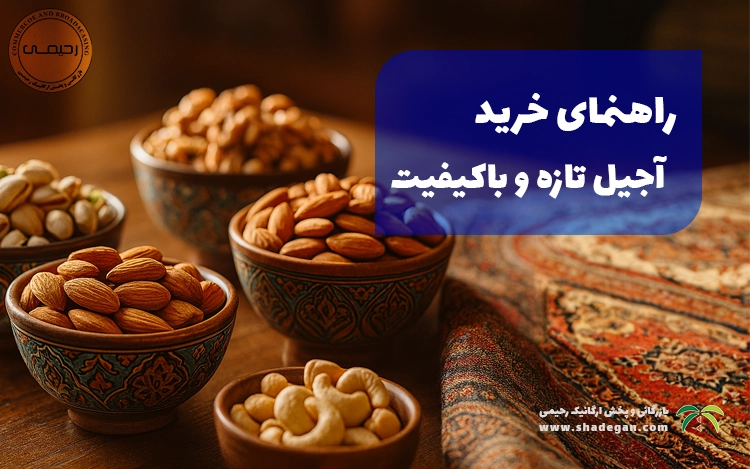 راهنمای خرید آجیل تازه و باکیفیت