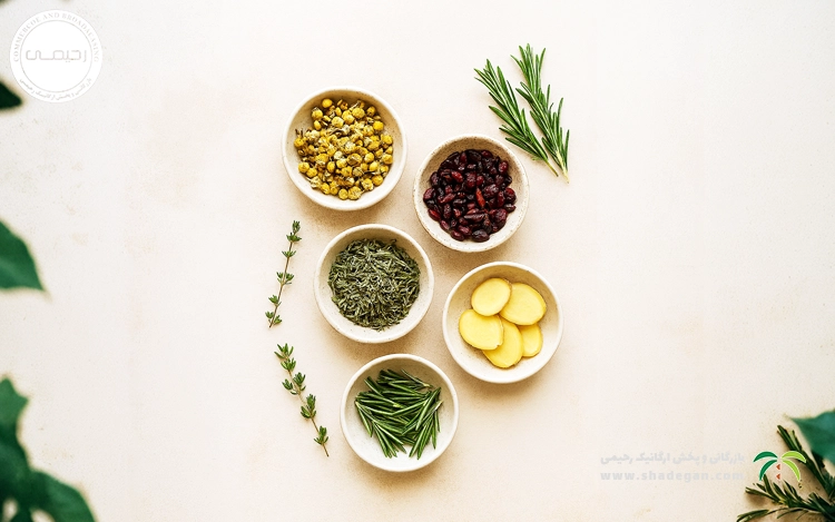 بهترین دمنوش تقویت ایمنی بدن