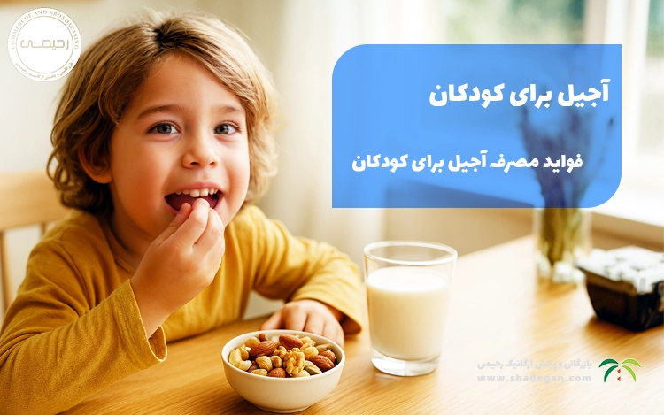 آجیل برای کودکان؛ فواید مصرف آجیل برای کودکان و هر آنچه والدین باید بدانند