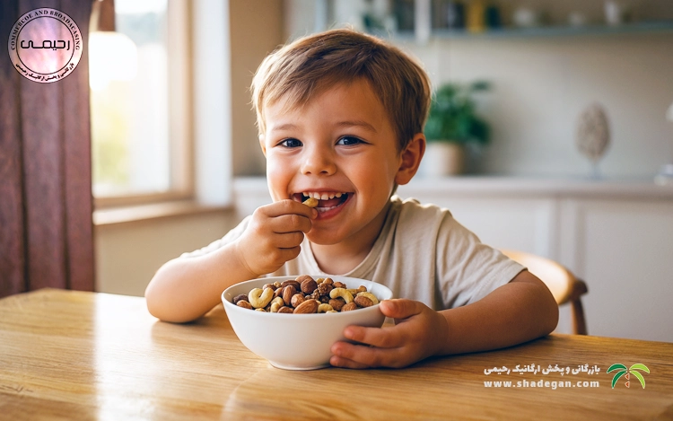 آجیل برای کودکان؛ فواید مصرف آجیل برای کودکان و هر آنچه والدین باید بدانند