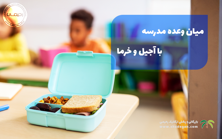 میان وعده مدرسه با آجیل و خرما؛ بهترین انتخاب برای انرژی و رشد کودکان