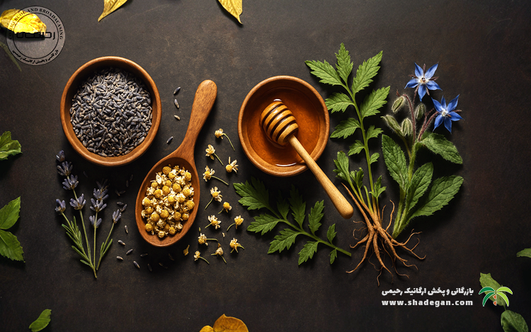 دمنوش خواب؛ بهترین دمنوش مناسب برای خواب بهتر و آرامش شبانه