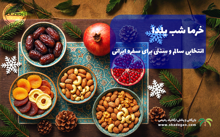 خرما شب یلدا؛ انتخابی سالم و سنتی برای سفره ایرانی