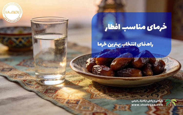 خرمای مناسب افطار چیست؟ راهنمای انتخاب بهترین خرما برای افطار رمضان