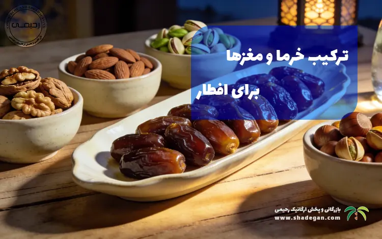 ترکیب خرما و مغزها برای افطار | بهترین انتخاب مقوی و سالم در ماه رمضان