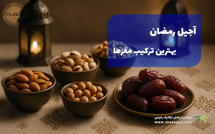 آجیل رمضان؛ بهترین ترکیب مغزها برای افطار و سحری سالم در ماه رمضان