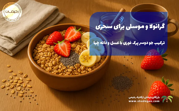 گرانولا و موسلی برای سحری | ترکیب جو دوسر پرک فوری با عسل و دانه چیا