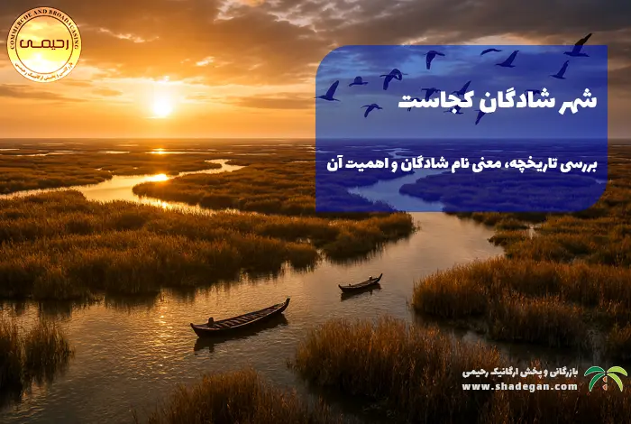 شهر شادگان کجاست | بررسی تاریخچه، معنی نام شادگان و اهمیت آن