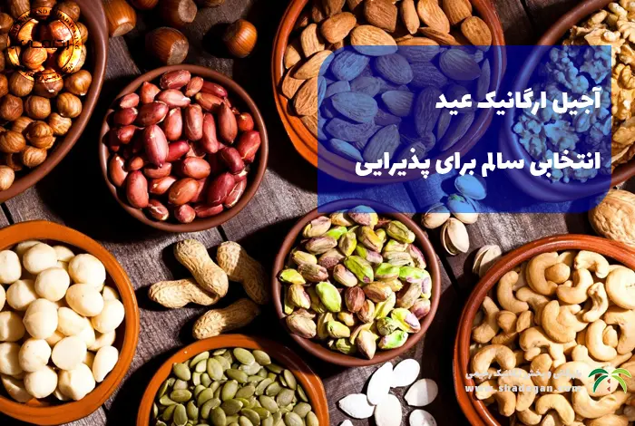 آجیل ارگانیک عید | انتخابی سالم برای پذیرایی