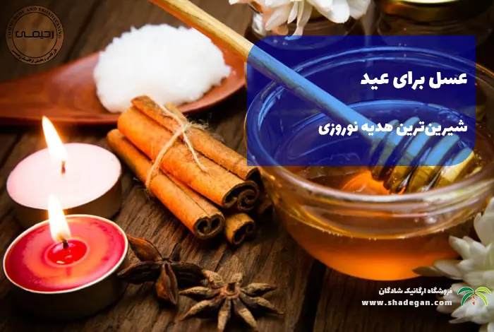 عسل برای عید | شیرین‌ترین هدیه نوروزی