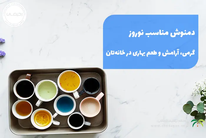 دمنوش مناسب نوروز: گرمی، آرامش و طعم بهاری در خانه‌تان