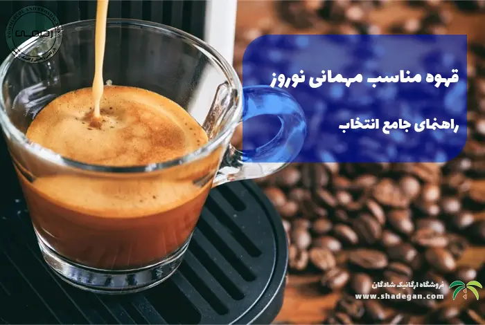 قهوه مناسب مهمانی نوروز | راهنمای جامع انتخاب، دم‌آوری و پذیرایی در نوروز