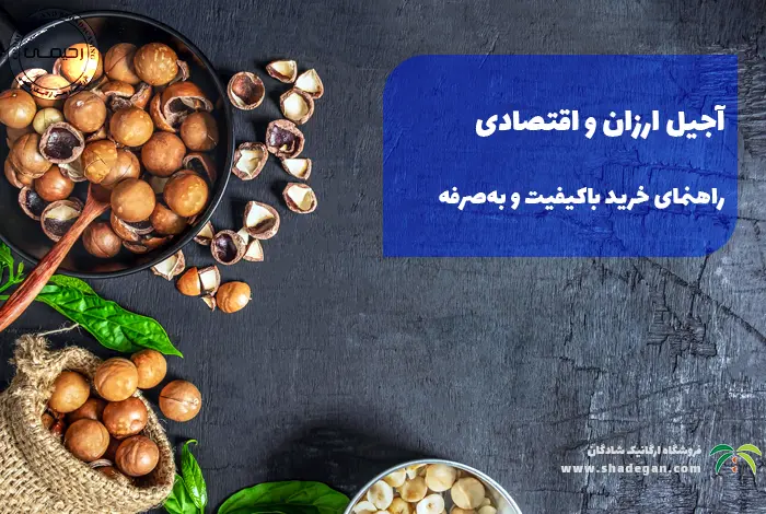 آجیل ارزان و اقتصادی برای نوروز 1405 | راهنمای جامع خرید باکیفیت و مقرون‌به‌صرفه