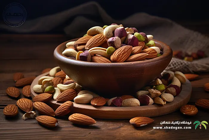 آجیل ارزان و اقتصادی برای نوروز 1405 | راهنمای جامع خرید باکیفیت و مقرون‌به‌صرفه