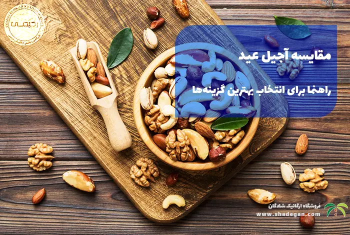مقایسه آجیل عید: راهنمای جامع برای انتخاب بهترین گزینه‌ها در نوروز 1405