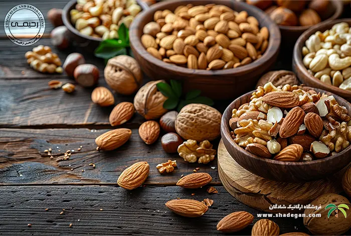 مقایسه آجیل عید: راهنمای جامع برای انتخاب بهترین گزینه‌ها در نوروز 1405
