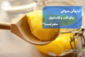 آیا روغن حیوانی برای قلب و کلسترول مضر است؟