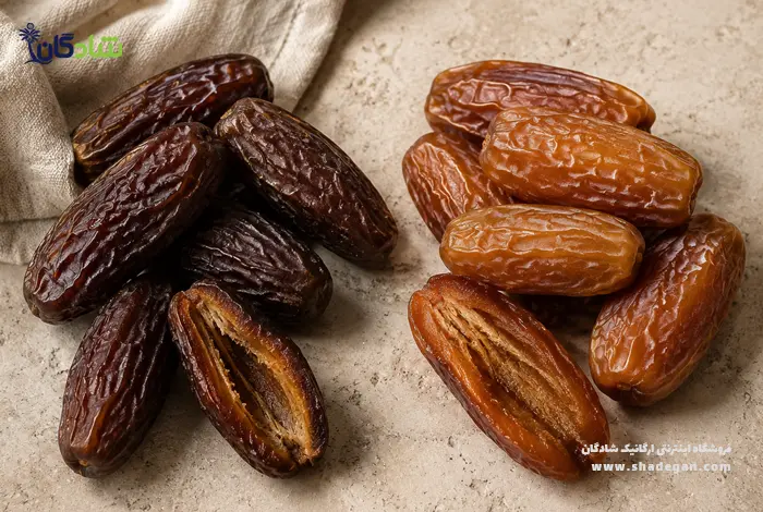 مقایسه خرما پیارم با سایر خرماه | تفاوت خرما شاهانی و پیارم