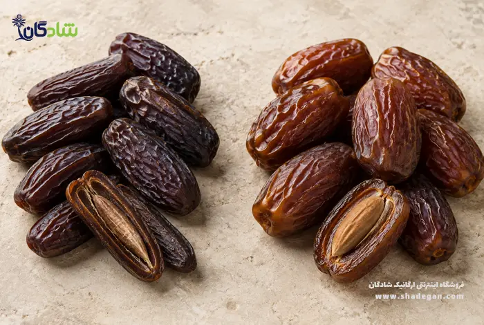مقایسه خرما پیارم با سایر خرماها | تفاوت خرما پیارم و مجول
