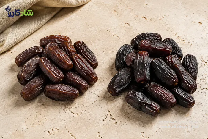 مقایسه خرما پیارم با سایر خرماها | تفاوت خرما پیارم و ربی