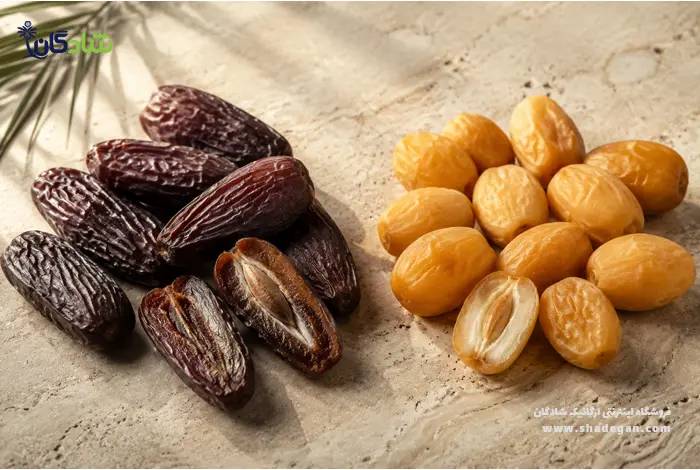 مقایسه خرما پیارم با سایر خرماها | تفاوت خرما پیارم و زاهدی