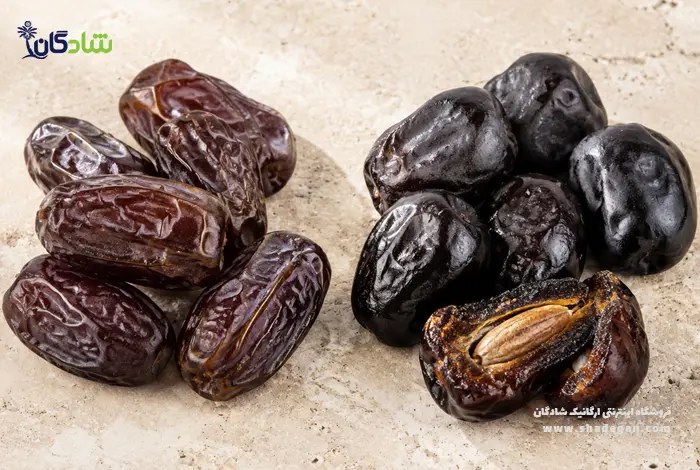 مقایسه خرما پیارم با سایر خرماها | تفاوت خرما پیارم و رطب
